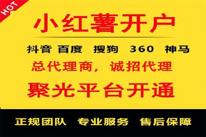 专业SEM代运营公司案例分析